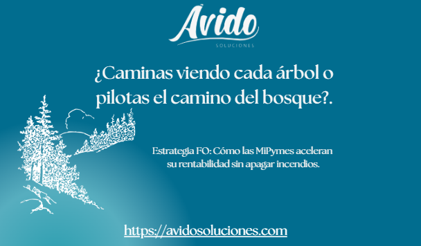 Portada Articulo Ves El Arbol O Bosque